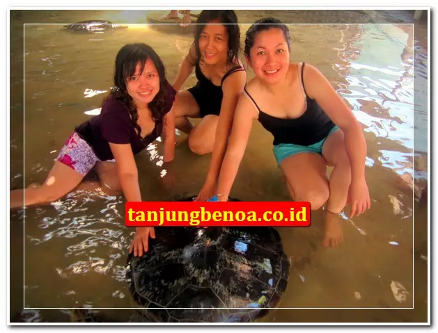 Pulau penyu Tanjung Benoa Bali