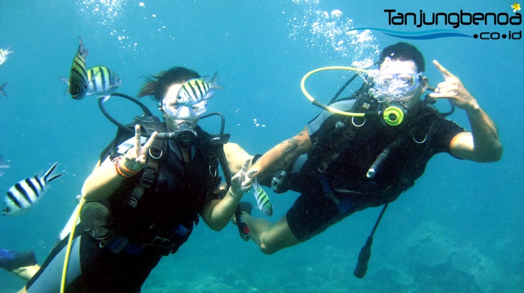 Scuba Diving Tanjung Benoa Bali