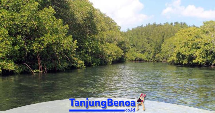Hutan Mangrove Tanjung Benoa
