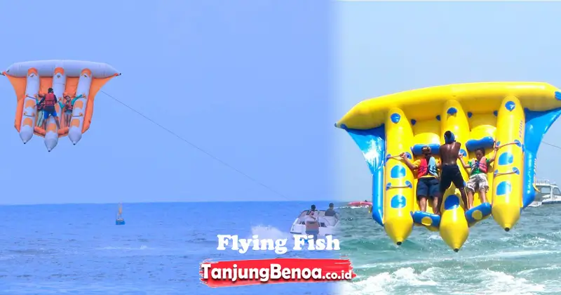 Flying Fish Tanjung Benoa Bali