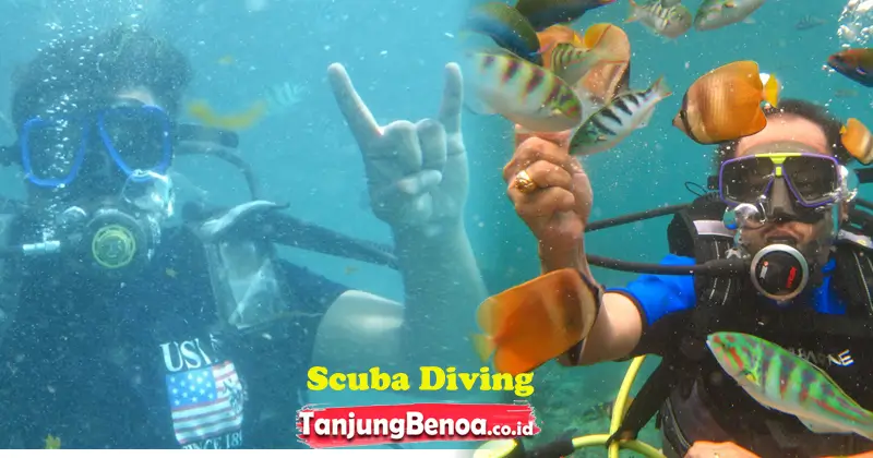 Scuba diving di Tanjung Benoa