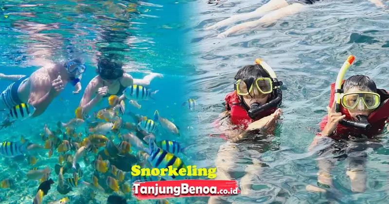 Snorkeling Tanjung Benoa