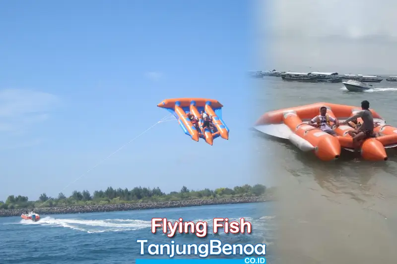 Flying Fish Tanjung Benoa Bali