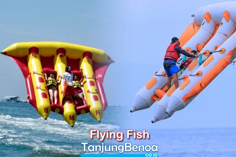 Flying Fish Tanjung Benoa