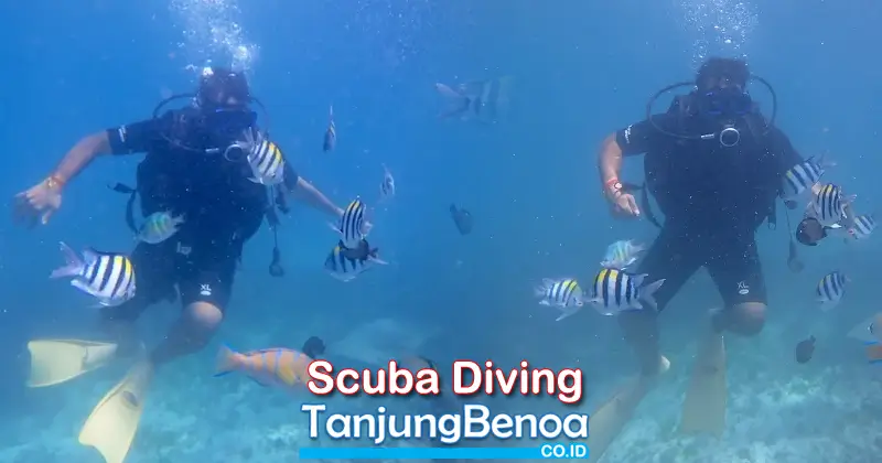 Scuba Diving Tanjung Benoa
