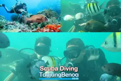 Scuba Diving Tanjung Benoa