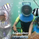 Seawalker Tanjung Benoa Bali