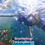 Snorkeling Tanjung Benoa Bali