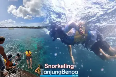 Snorkeling Tanjung Benoa Bali