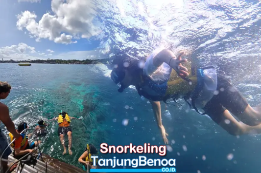 Snorkeling Tanjung Benoa Bali